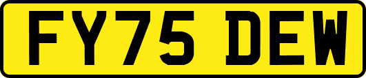 FY75DEW