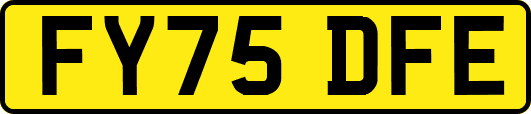 FY75DFE