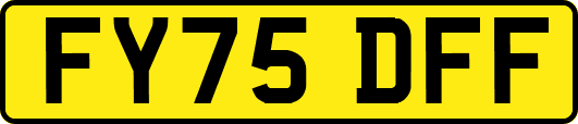 FY75DFF