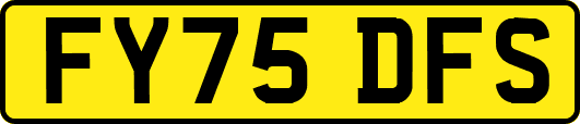 FY75DFS