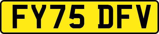 FY75DFV