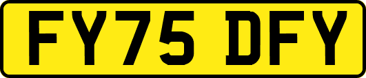 FY75DFY