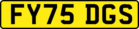 FY75DGS