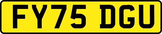 FY75DGU