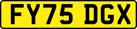 FY75DGX