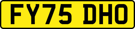 FY75DHO