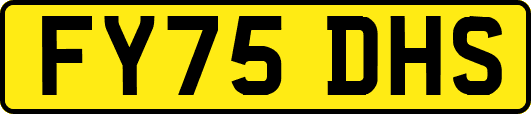FY75DHS