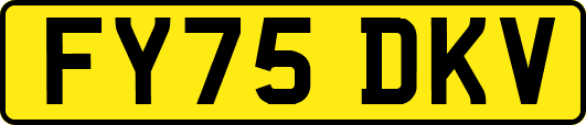 FY75DKV