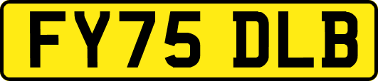 FY75DLB