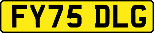 FY75DLG