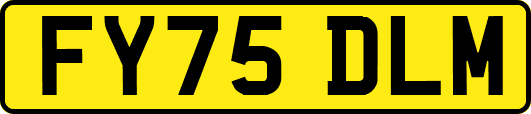 FY75DLM