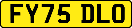 FY75DLO