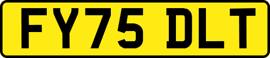 FY75DLT