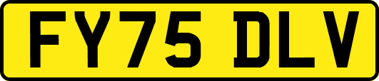 FY75DLV