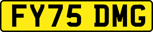 FY75DMG