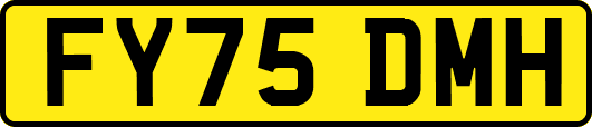 FY75DMH