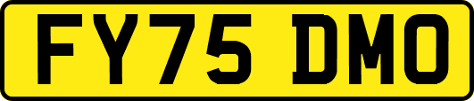 FY75DMO
