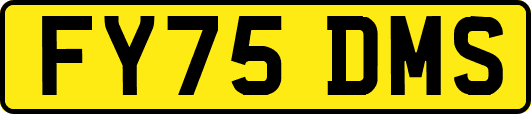 FY75DMS