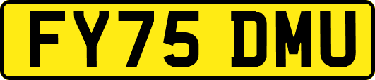 FY75DMU