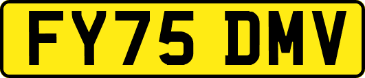 FY75DMV