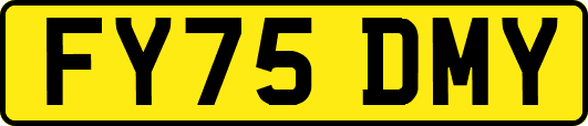 FY75DMY