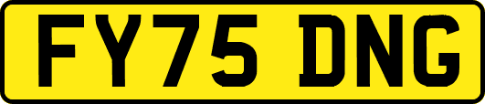 FY75DNG
