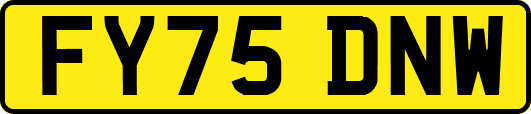 FY75DNW