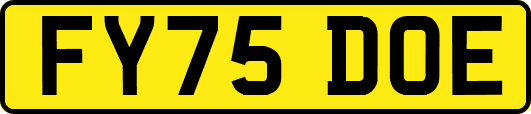 FY75DOE