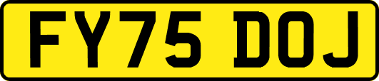 FY75DOJ