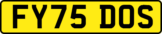 FY75DOS