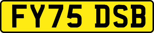 FY75DSB