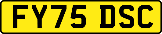 FY75DSC