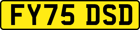 FY75DSD