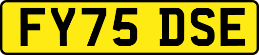 FY75DSE