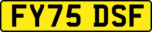 FY75DSF