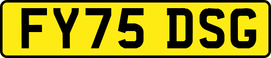FY75DSG