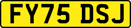 FY75DSJ
