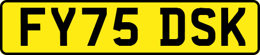 FY75DSK