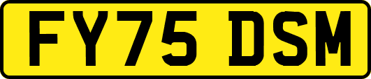 FY75DSM