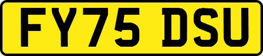 FY75DSU