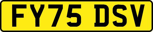 FY75DSV
