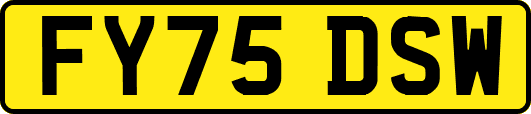 FY75DSW