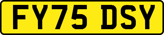 FY75DSY