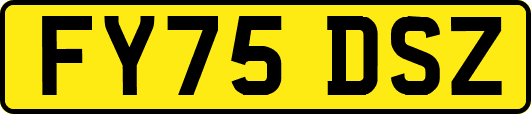 FY75DSZ