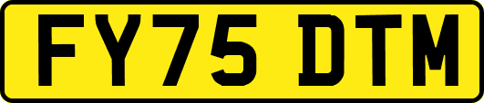 FY75DTM