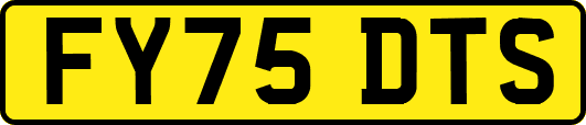 FY75DTS