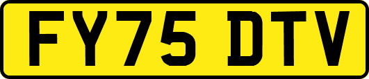 FY75DTV