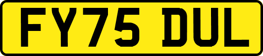 FY75DUL
