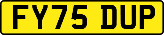 FY75DUP