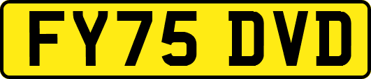 FY75DVD